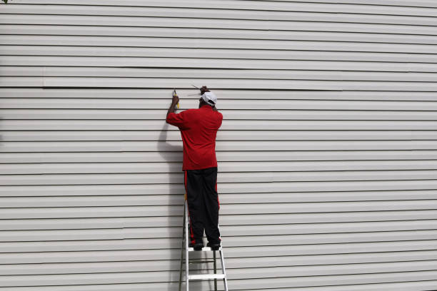 Best James Hardie Siding  in Lake Elsinore, CA