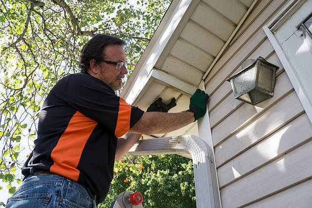 Best Fascia and Soffit Installation  in Lake Elsinore, CA